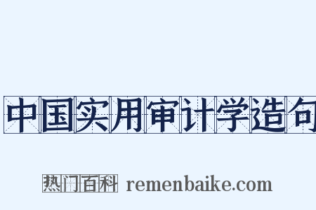 中国实用审计学造句是什么意思的图片
